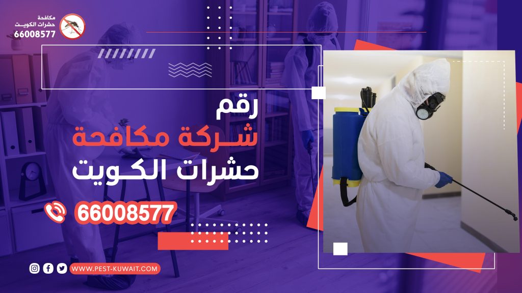 رقم شركة مكافحة حشرات الكويت 66008577