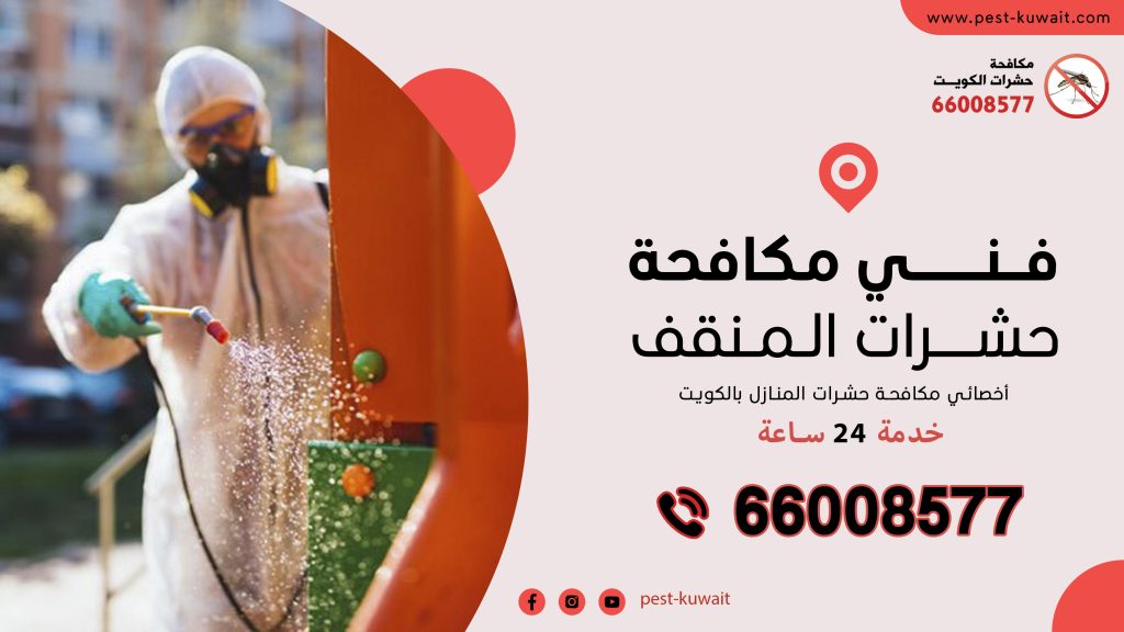 شركة فني مكافحة حشرات المنقف 66008577