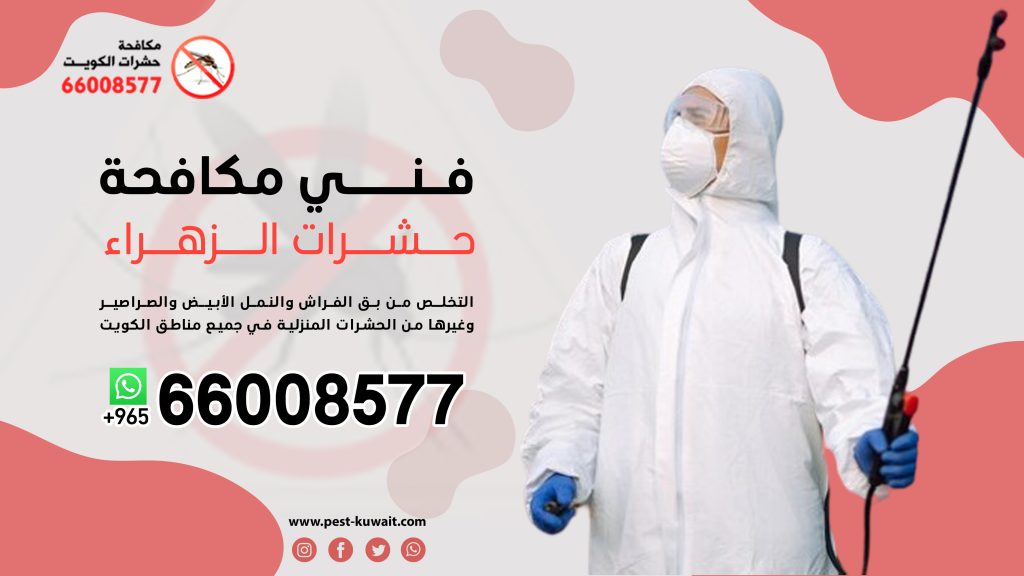 فني مكافحة حشرات الزهراء 66008577