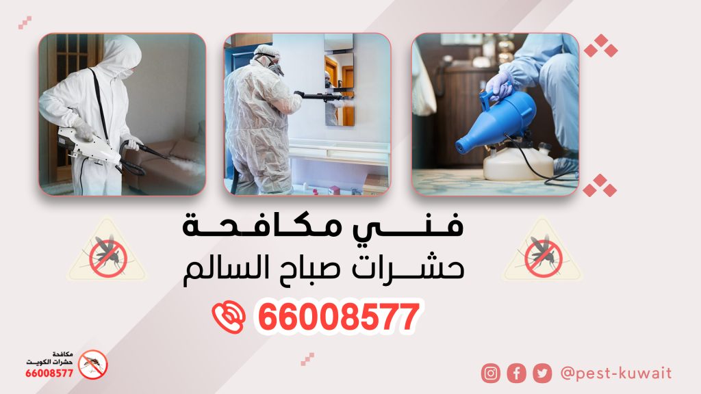 شركة فني مكافحة حشرات صباح السالم 66008577