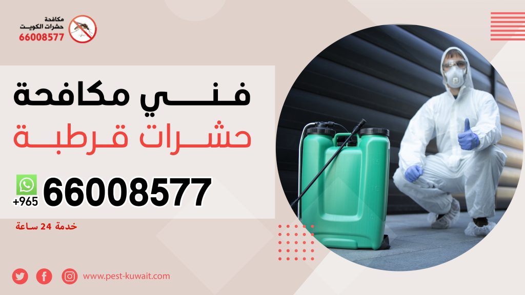 فني مكافحة حشرات قرطبة 66008577